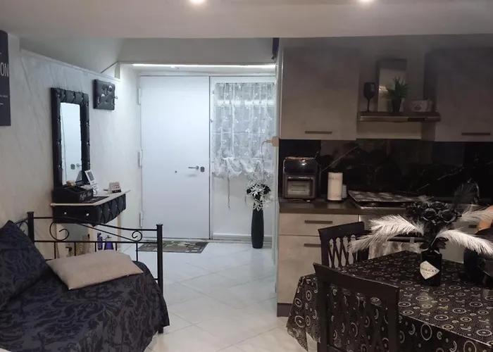 Apartman Paky S House *